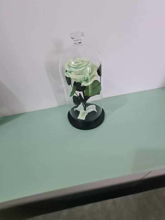 Sweet Home Sfintu Ilie 외부 사진