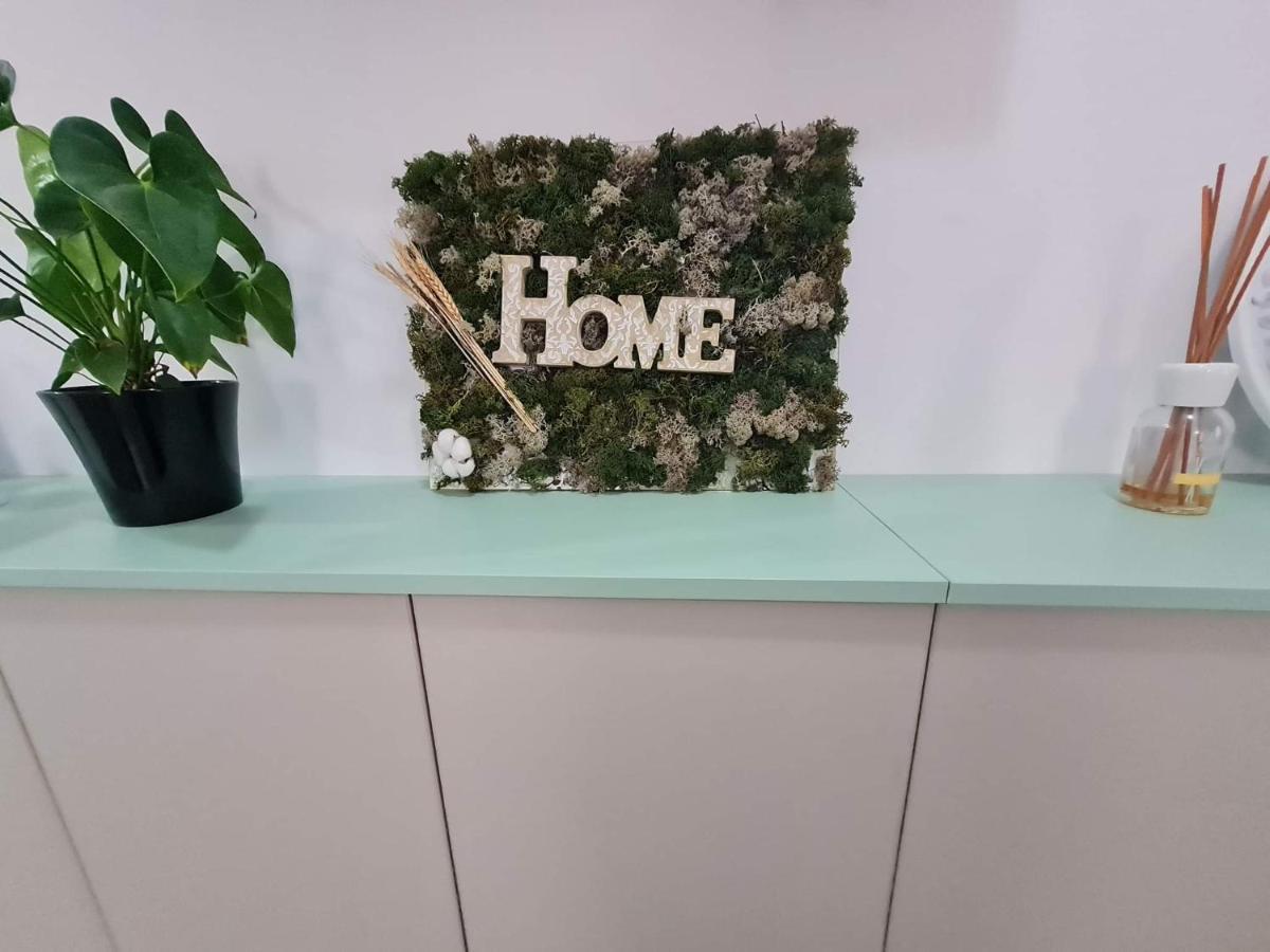 Sweet Home Sfintu Ilie 외부 사진